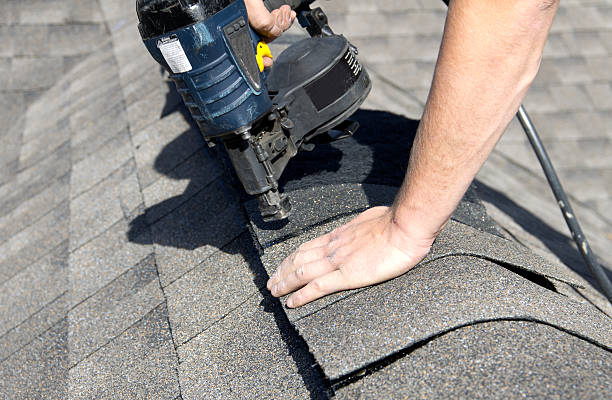 Best Roof Insulation Installation  in Maysville, KY